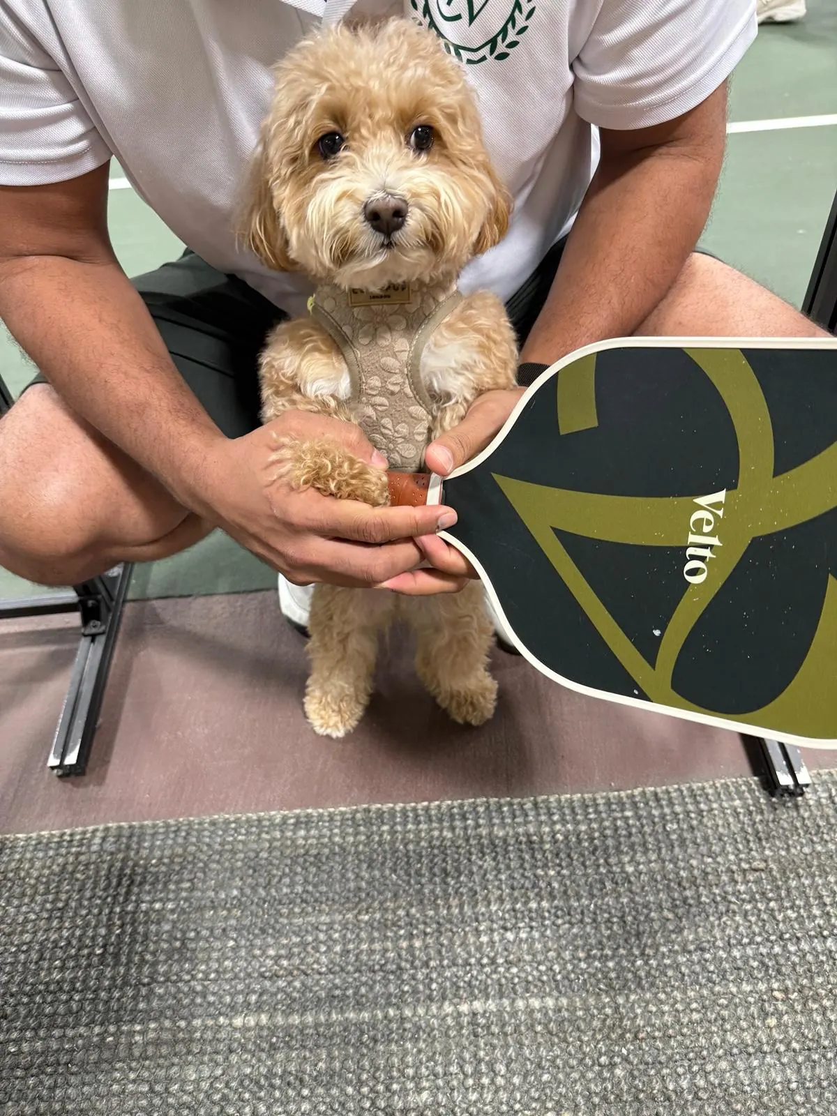 A club member holding their dog and a Velto paddle courtside